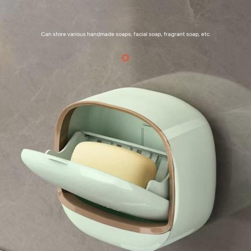 Shap Holder /Shap Box